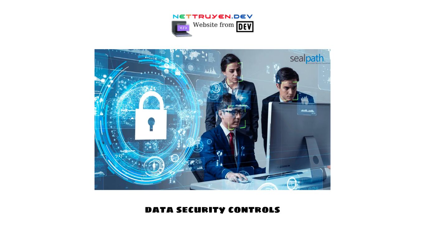 data security controls