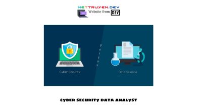 Cyber Security Data Analyst: Unveiling the Role and Responsibilities