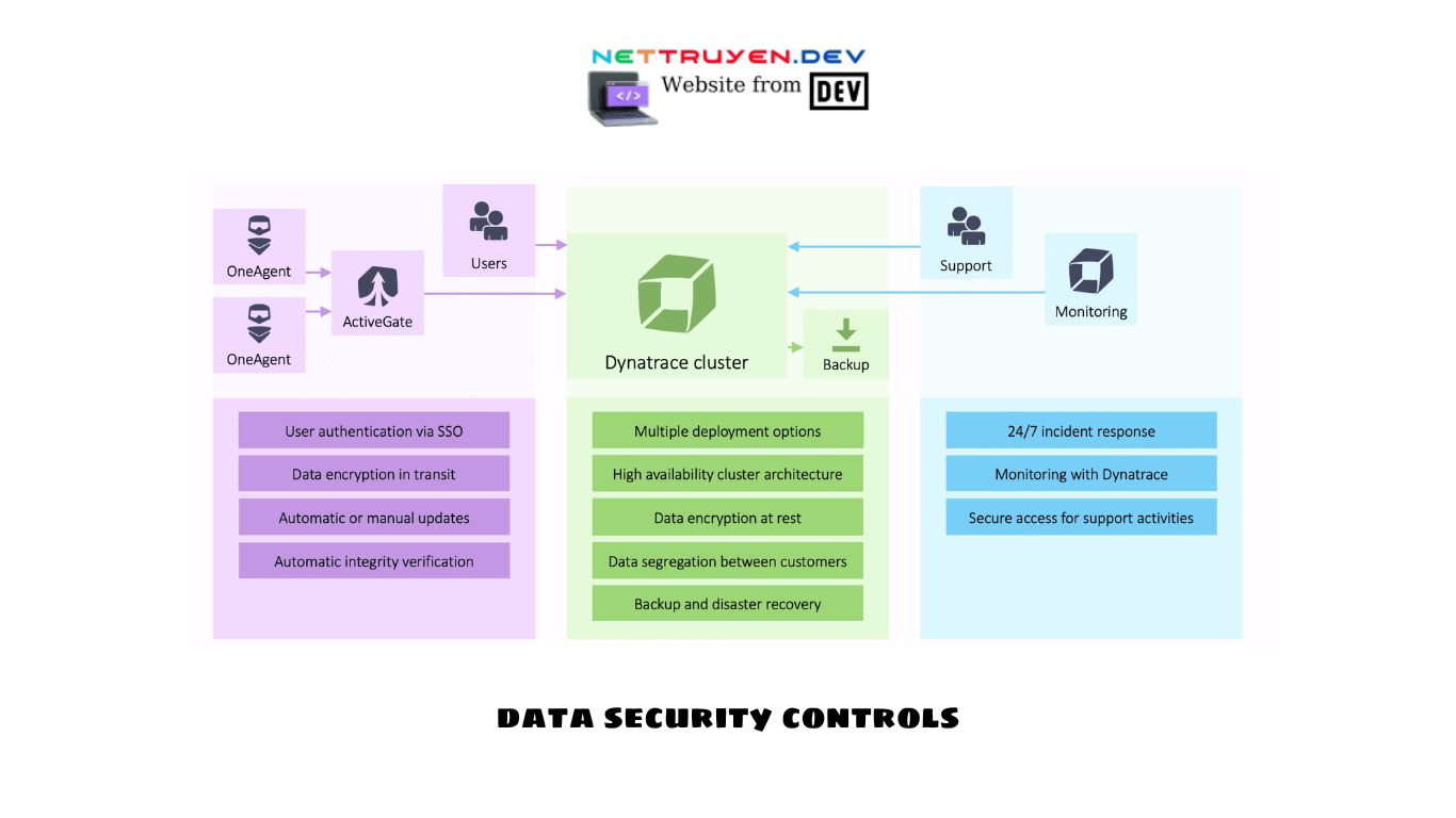 data security controls